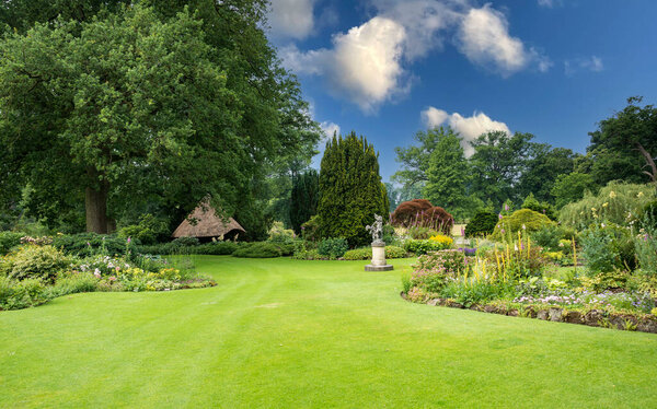 большой парк с растениями зеленого поля