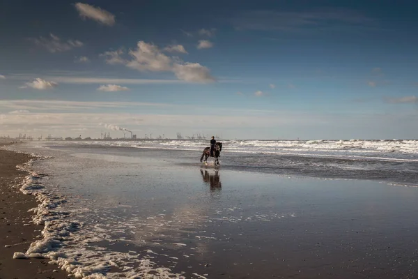 Kobieta jeździć konno na plaży — Zdjęcie stockowe