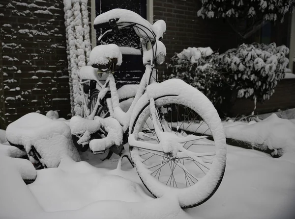 冬の雪の中を自転車で — ストック写真