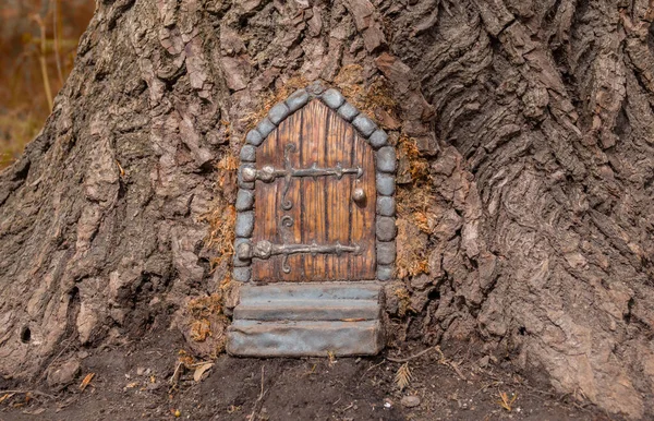 Green door in a tree — Stok fotoğraf