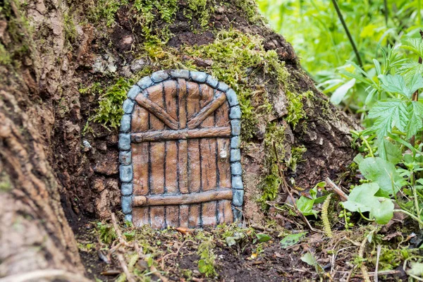 Grön dörr i ett träd — Stockfoto