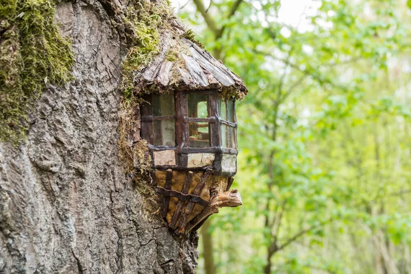 Miniature house made in a tree — Stok fotoğraf