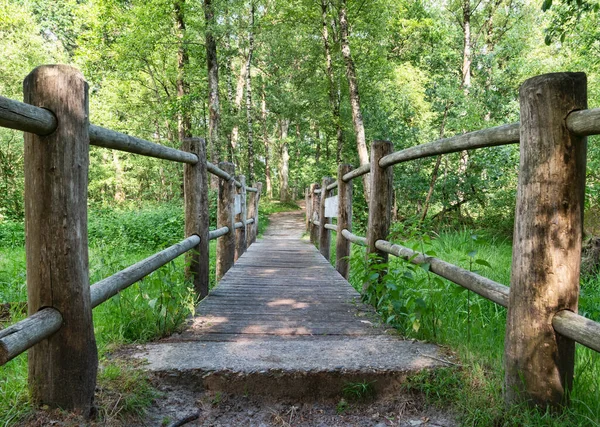 Un puente de madera hecho de troncos de árbol — Foto de Stock