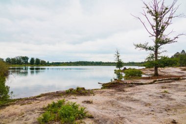 Etrafı ağaçlarla çevrili ve bulutlu bir gölet.