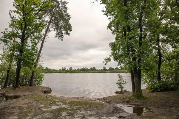 Etrafı ağaçlarla çevrili ve bulutlu bir gölet. — Stok fotoğraf