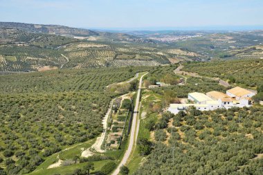 Endülüs 'te zeytin ağaçları olan vadi