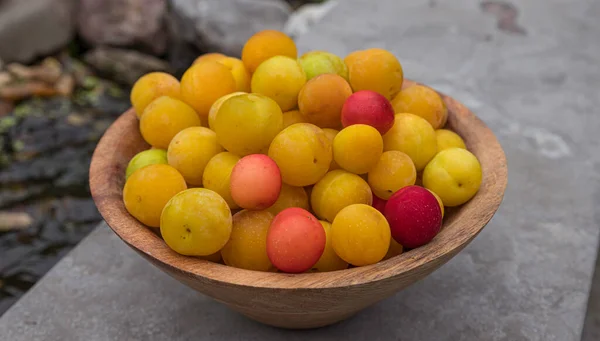 Wooden bowl with fresh apricots — Stock Photo, Image