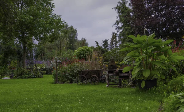 Gran jardín inglés con hierba verde —  Fotos de Stock