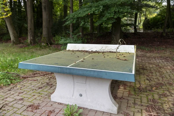 Old table tennis table outside — Stock Photo, Image