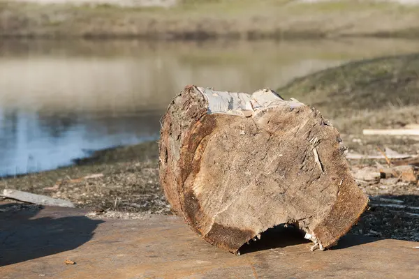 Το κομμάτι του ξύλου κοντά στο νερό — Φωτογραφία Αρχείου