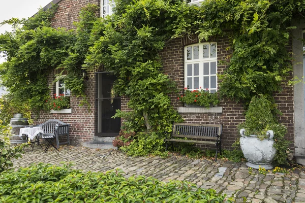 Alter Bauernhof mit grünen Pflanzen an der Wand — Stockfoto