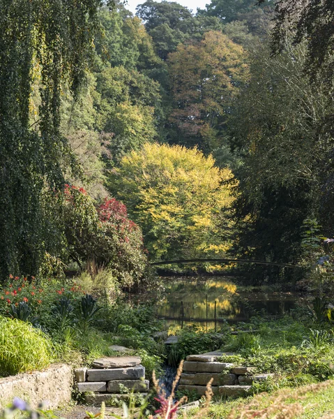 Parque y estanque en otoño —  Fotos de Stock