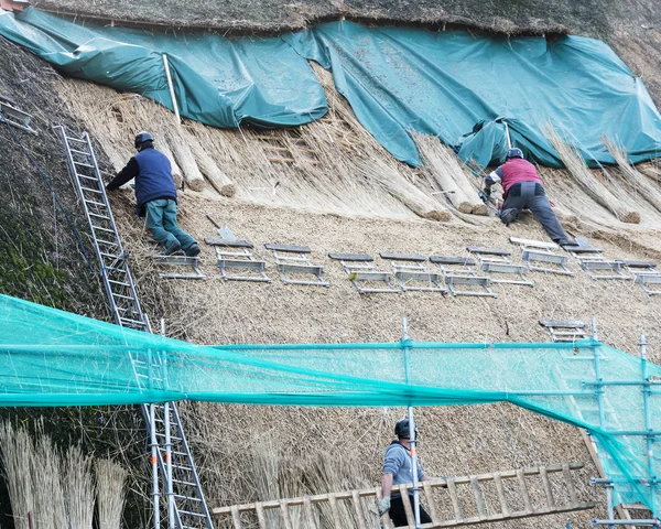 Rietdekkers werken op het dak — Stockfoto