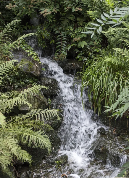 Waterfall in forest — Stock Photo, Image