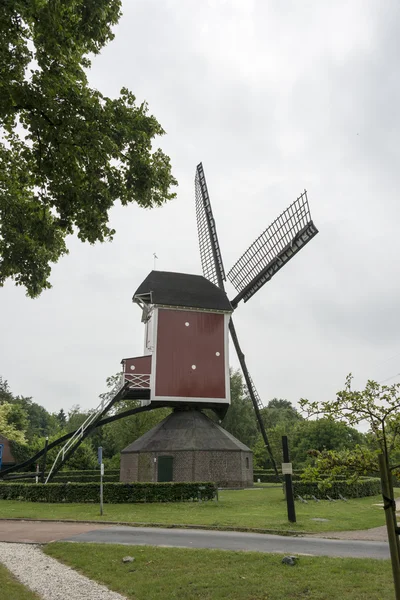 Dutch mill in heel limburg — стоковое фото
