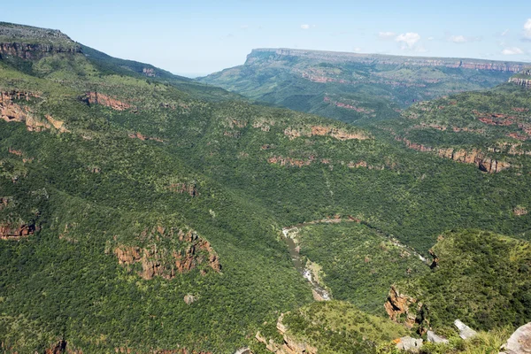 Anionennatur in Südafrika — Stockfoto