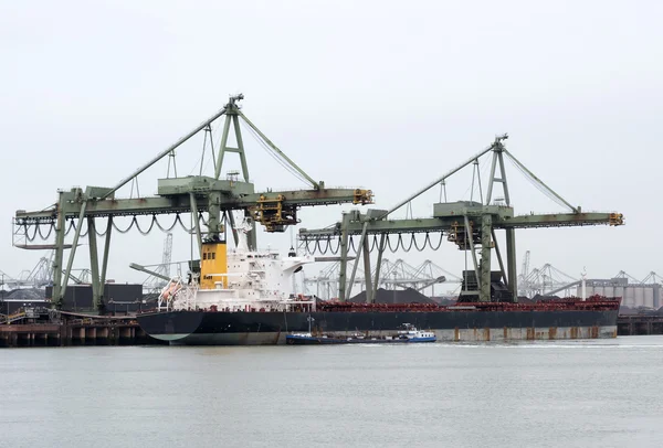 Guindastes no porto para o navio de descarga — Fotografia de Stock