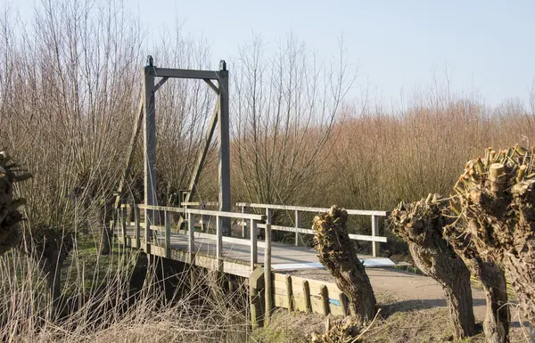 Puente levadizo de madera en la naturaleza con sauces — Foto de Stock
