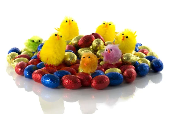 Easter eggs and chicken — Stock Photo, Image