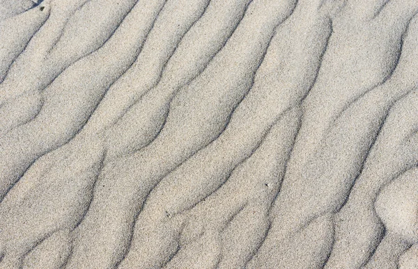 Sand ripples — Stock Photo, Image