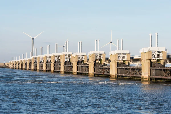 Oosterschelde дельті — стокове фото