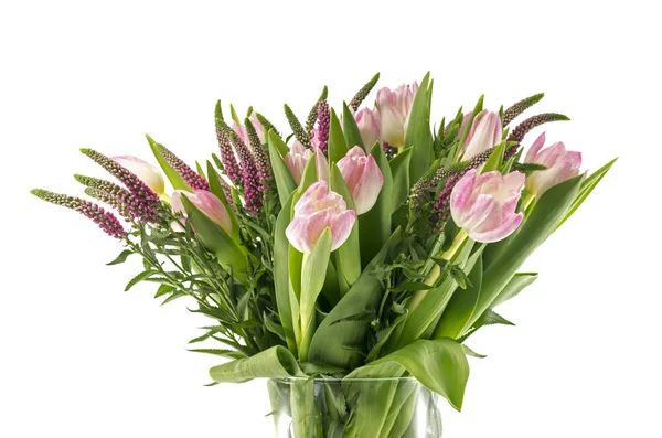 Rose tulip — Stock Photo, Image