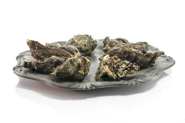 Plate of expensive oysters — Stock Photo, Image