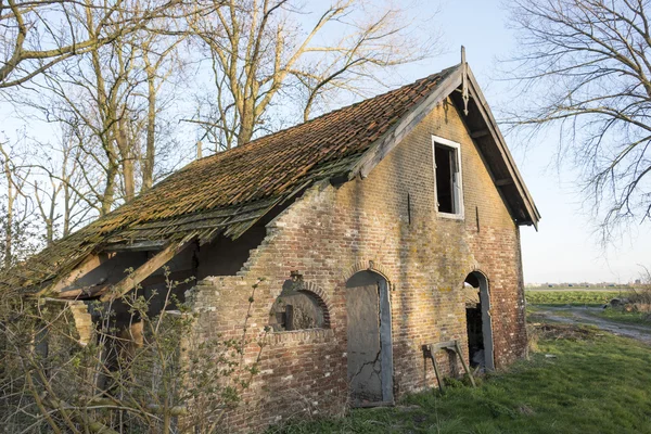 Old abandoned farm — Stock Photo, Image