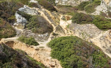 doğa arka planda Portekiz tepelerinde