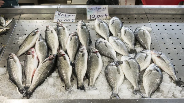 Peixe dorado — Fotografia de Stock