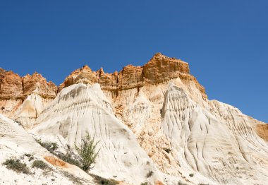 Cliffs at Praia da Falesia çiçekler