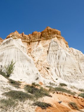 Cliffs at Praia da Falesia çiçekler