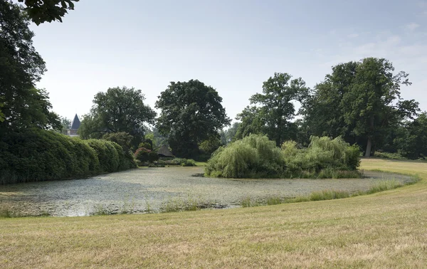 Großer Park mit Pflanzen und Wasserteich — Stockfoto