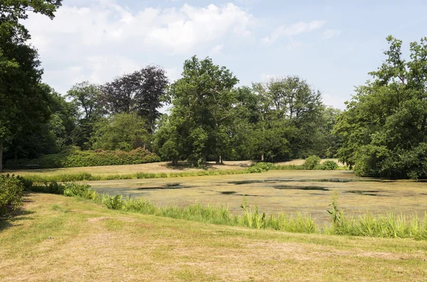 Grand parc avec plantes et étang d'eau — Photo