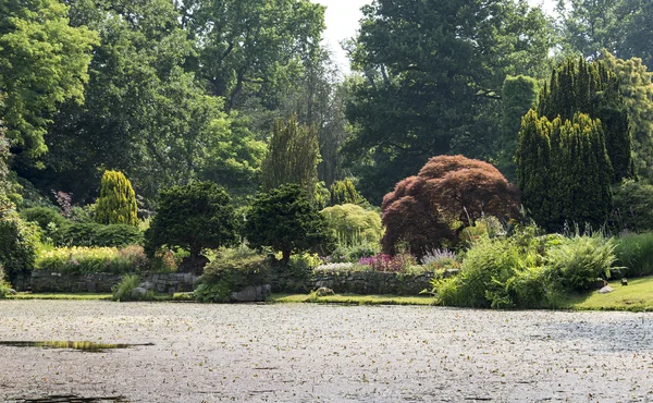 Gran parque con plantas y estanque de agua —  Fotos de Stock