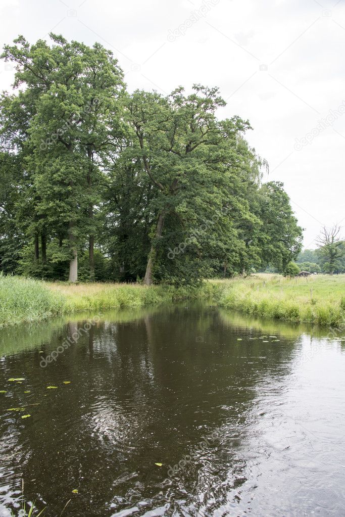 little river in nature in holland