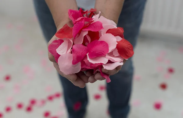 Woman holding rose petals — Stock Photo, Image