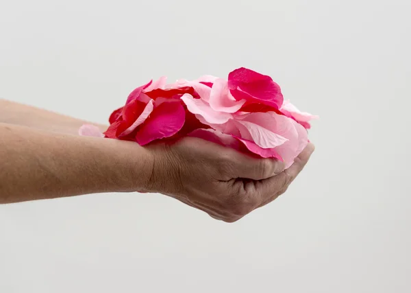 Donna che tiene petali di rosa — Foto Stock