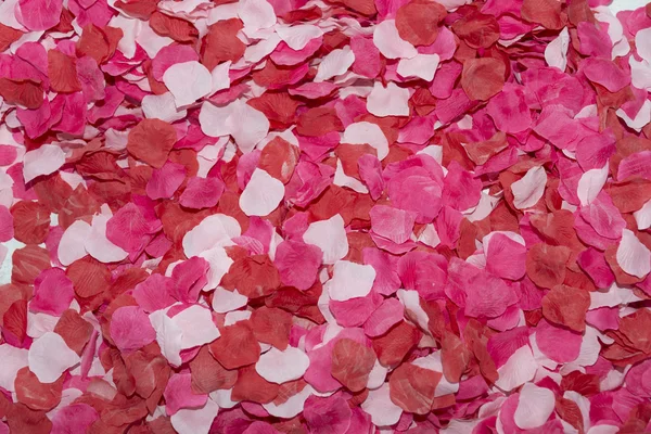 Hintergrund der Rosenblätter — Stockfoto