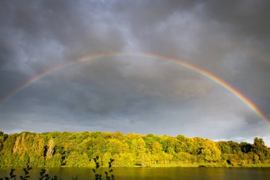 Sakin bir sonbahar manzarası, renkli bir orman tarafından çerçevelenmiş Fransa 'da saonne üzerinde parlak bir gökkuşağı barındırır. Yumuşak bulutlar ve altın yapraklar