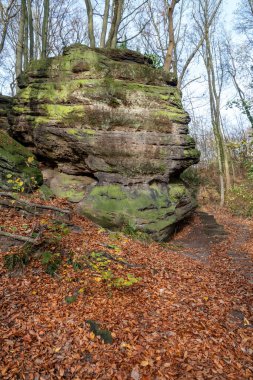 Kötü bentheim Almanya, büyük bir yosun kaplı kaya içeren sakin bir sonbahar ormanı sahnesi, açıkta ağaç kökleri ve turuncu-kahverengi yapraklardan bir halı. Doğa için mükemmel, açık hava.