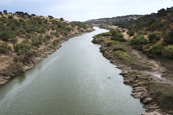 River in Portugal near Moura — Stock Photo, Image