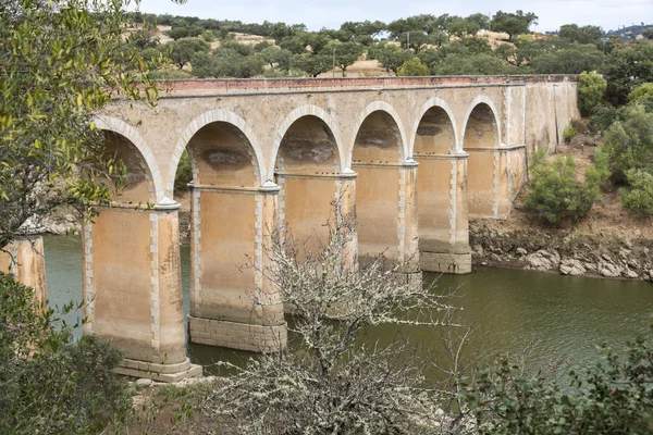 Ponte de ardilla w Portugalii — Zdjęcie stockowe
