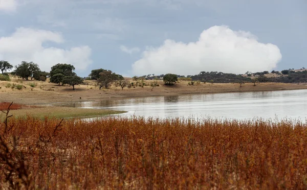 Estanque en la naturaleza portugal — Foto de Stock