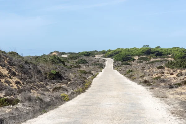 Portekiz doğada yolu — Stok fotoğraf