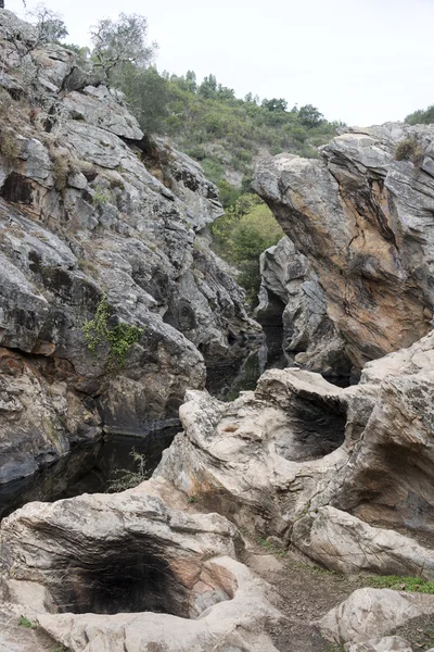 Pego das pias agua — Foto de Stock