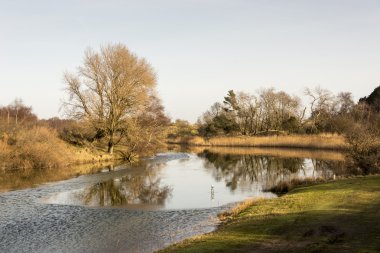 Hollanda doğada küçük temiz su