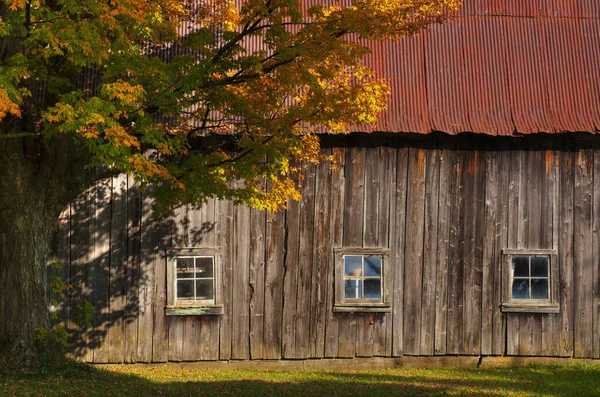 Antiguo Granero Techo Oxidado Otoño Waterloo Quebec Canadá — Foto de Stock