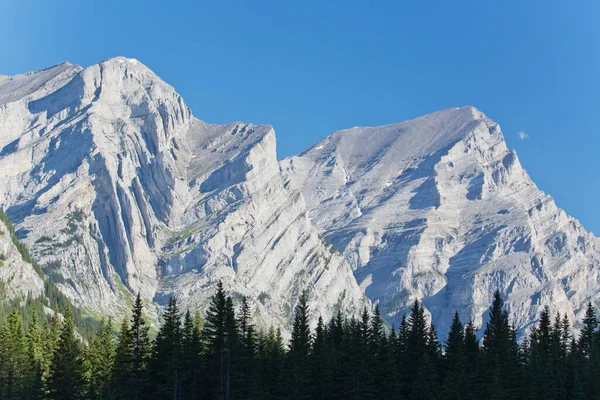 Montagnes Rocheuses Canadiennes Enneigées Avec Une Forêt Sous Les Sommets — Photo