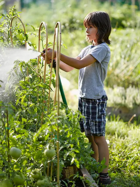 Young Boy Watering Urban Community Garden Montreal Quebec Kanada — Stok Foto